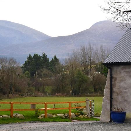 Tuck Mill Cottage Castlewellan Buitenkant foto