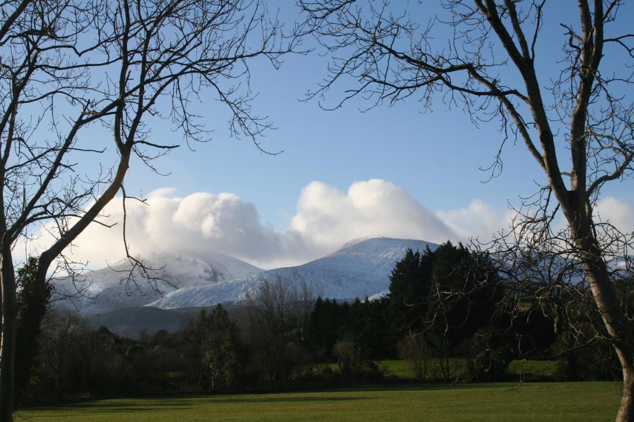 Tuck Mill Cottage Castlewellan Buitenkant foto